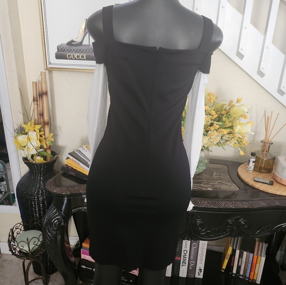 Pinko dress size 4 NEW - Picture 5 of 9